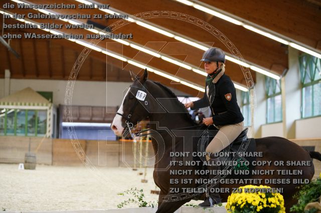 s_K3F03479.JPG